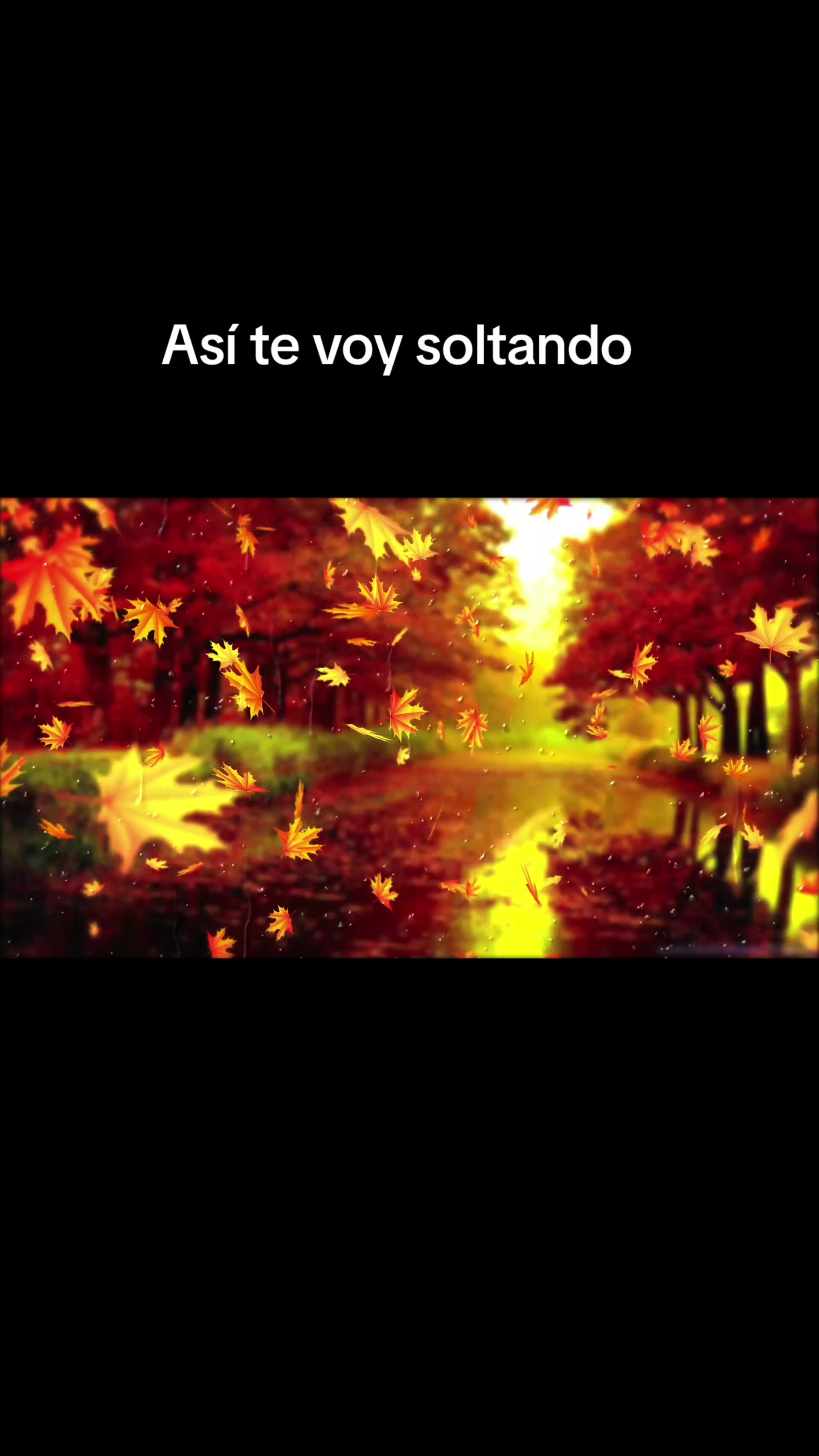 @Chuy Cano