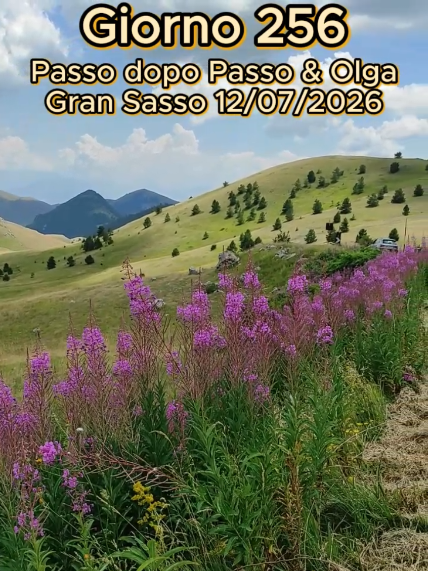 @💫 Passo dopo Passo & Olga