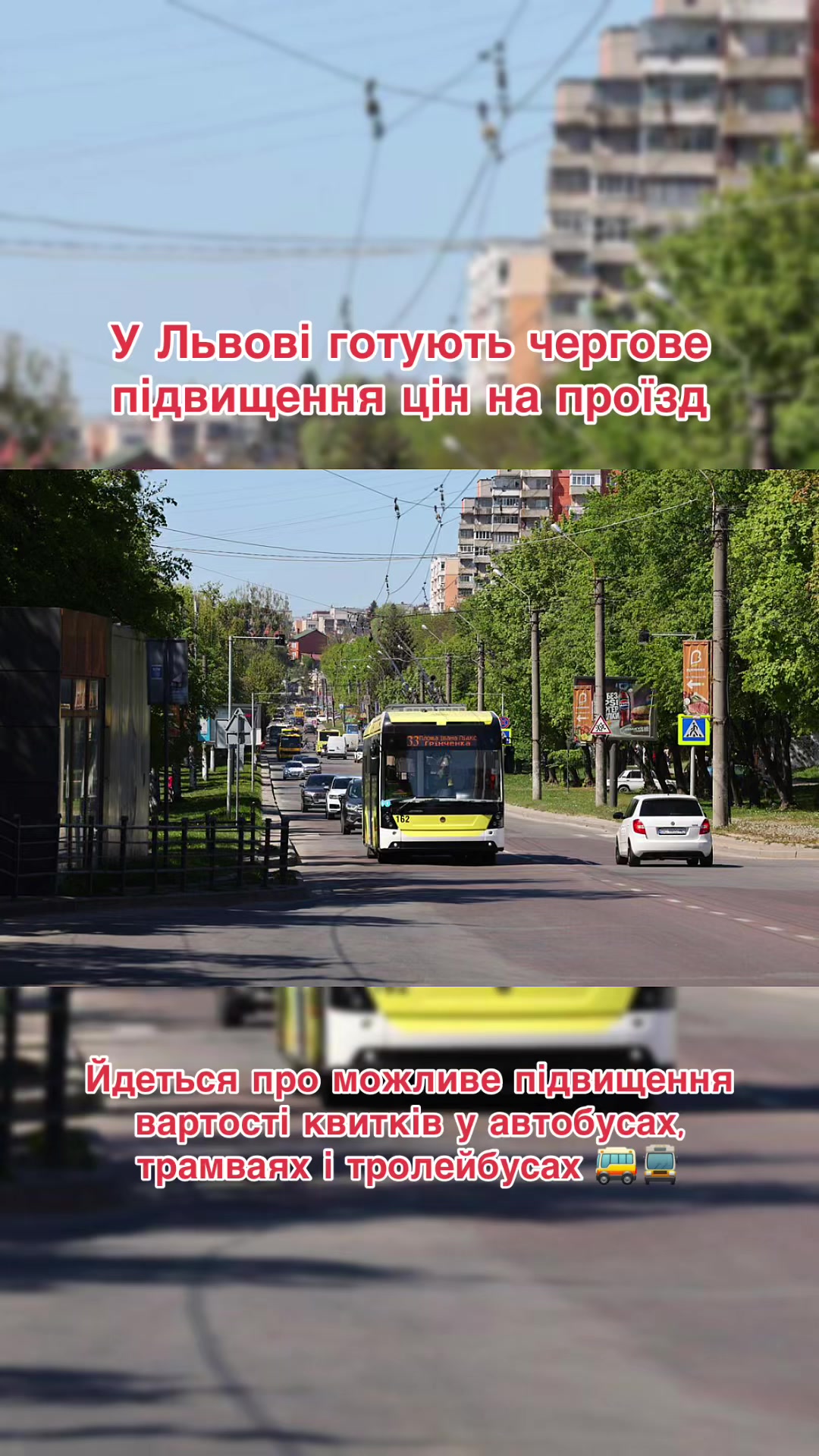 @lviv.vibe