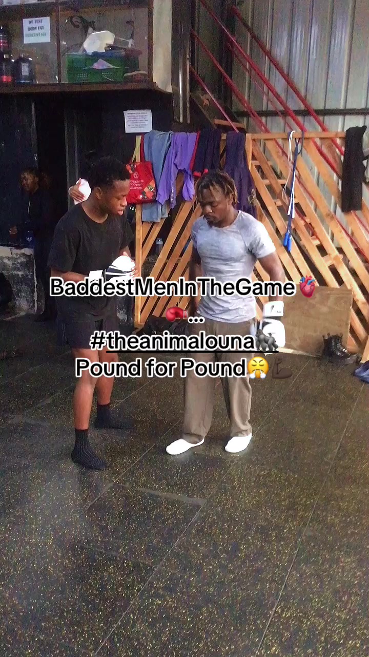 @TheAnimalOuna🦍…