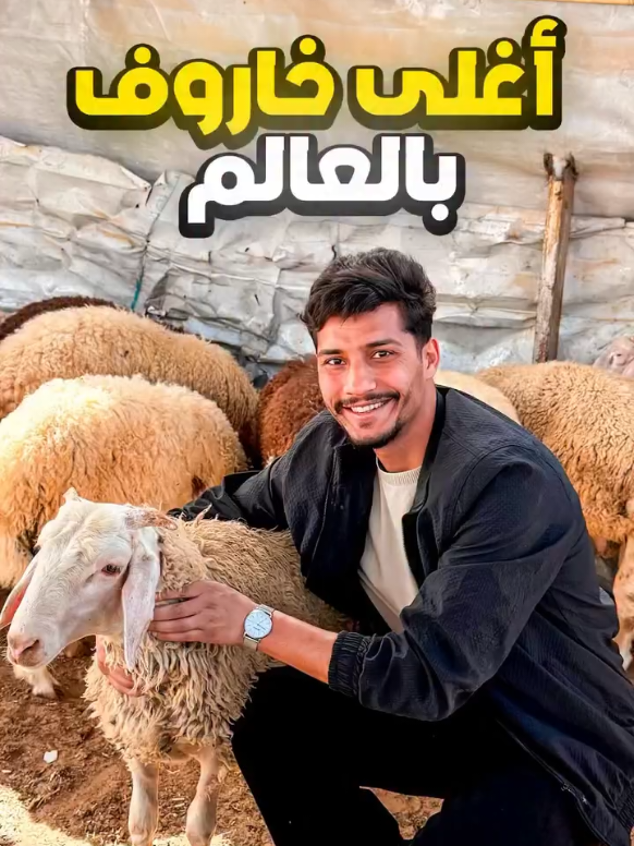 @جيش ابو راني