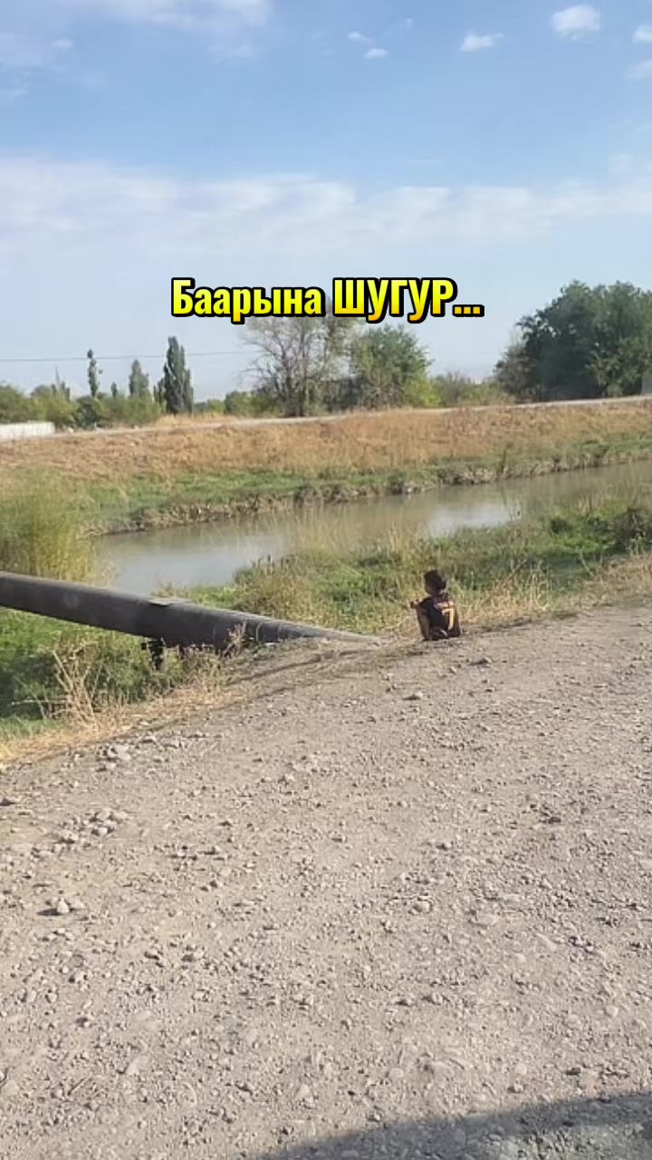 @💫💫ГУЛНАЗ БАТКЕН 76💫💫