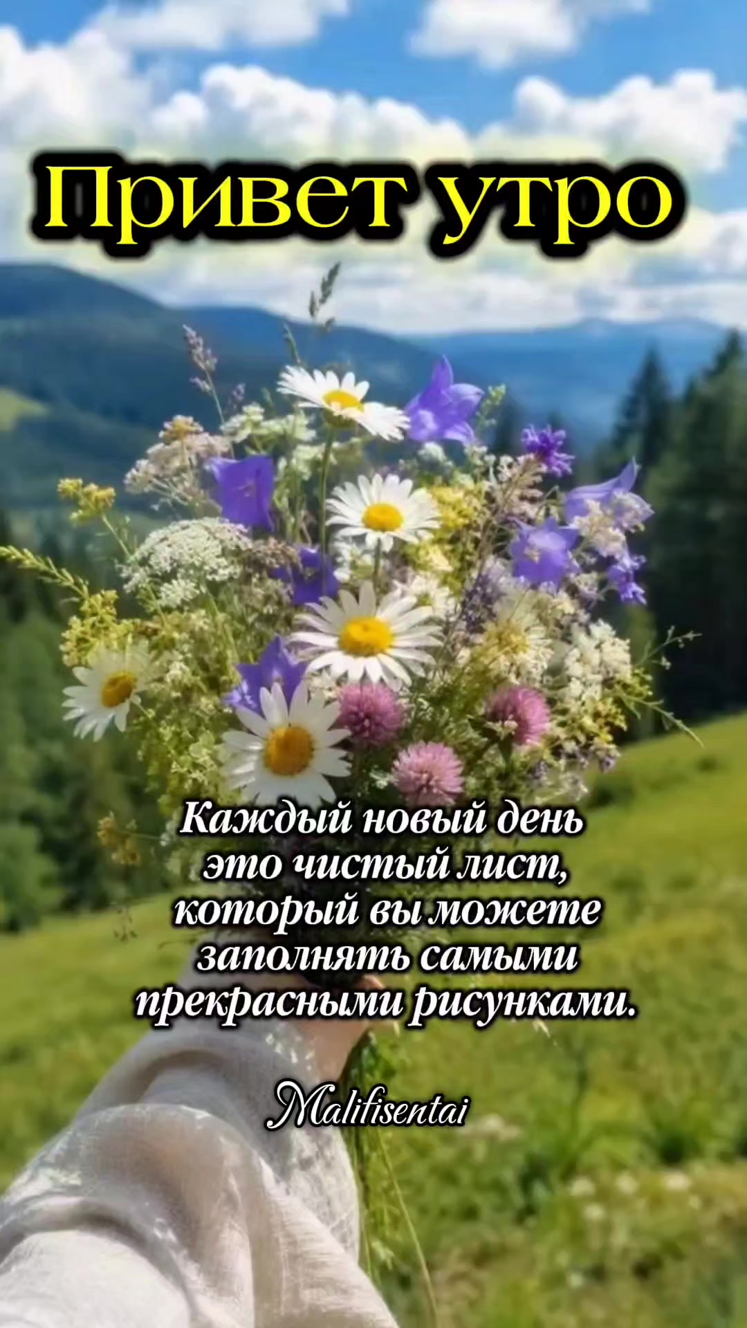 @malifisentai