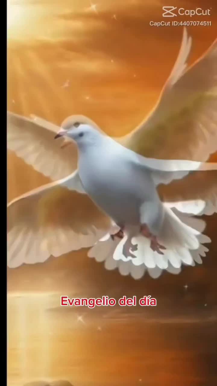 @berkya04
