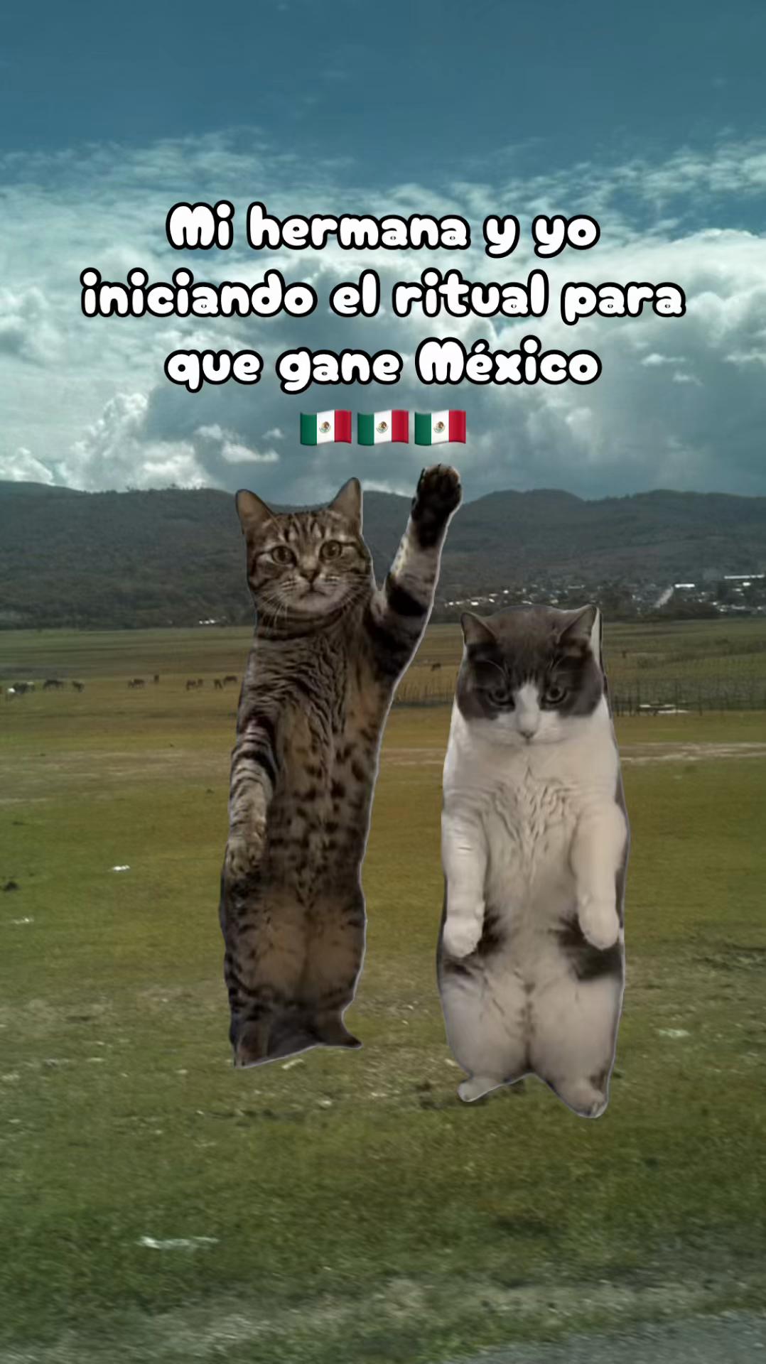 @🐈⬛ 𝔾𝕒𝕥𝕚𝕥𝕒 𝕞𝕚𝕒𝕦🐠🧩