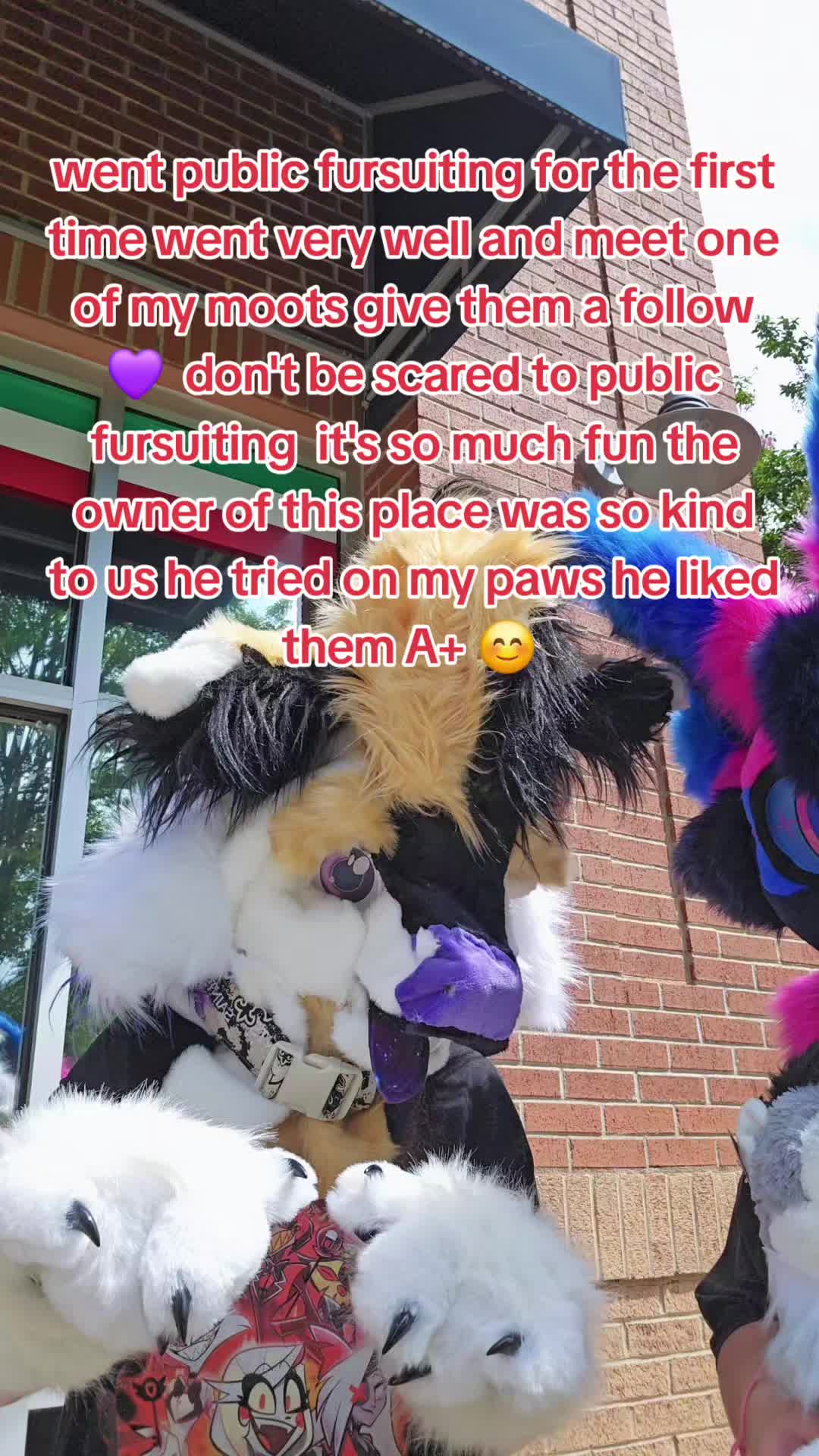@oreothelynx🔜CFF