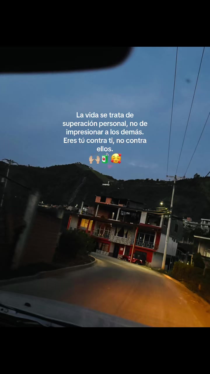 @daniela503.11