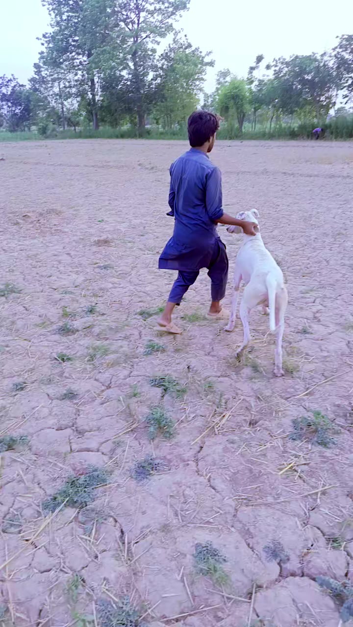 @Dilshad=barand#