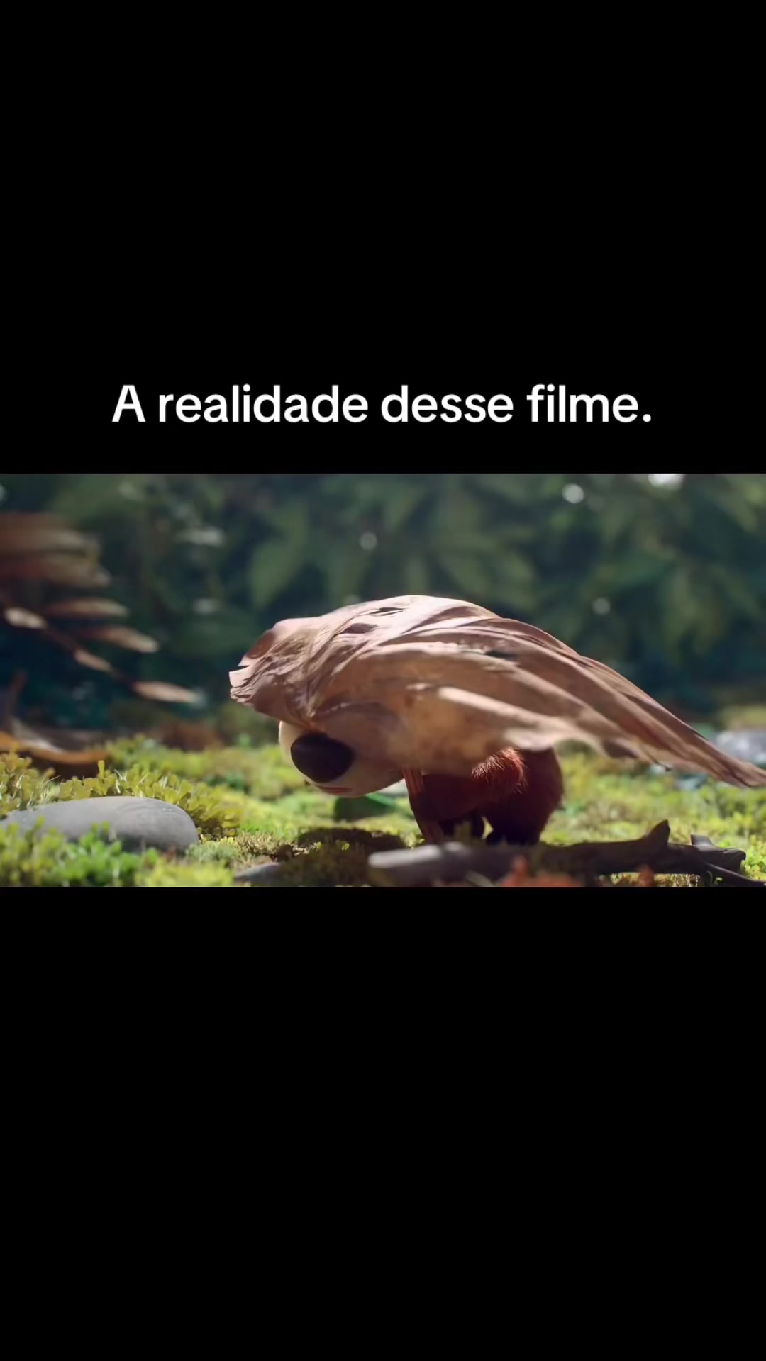 @Mundo Flix.