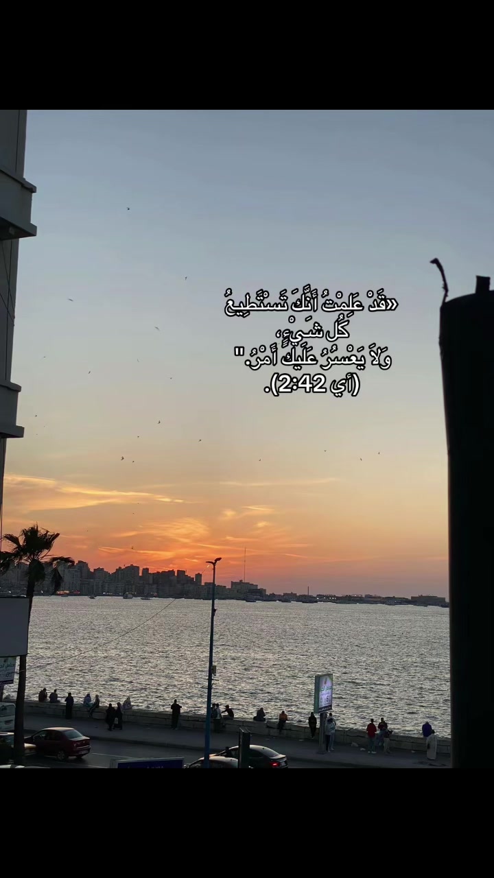 @Mariam Farag✨