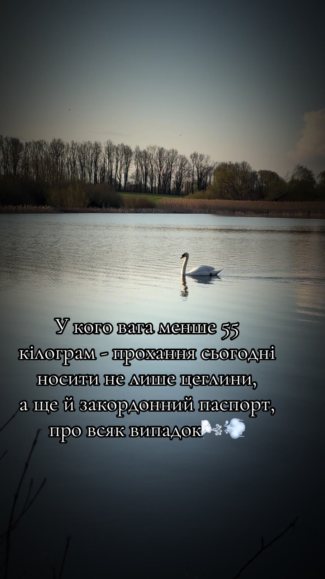 @Юлія Римарчук
