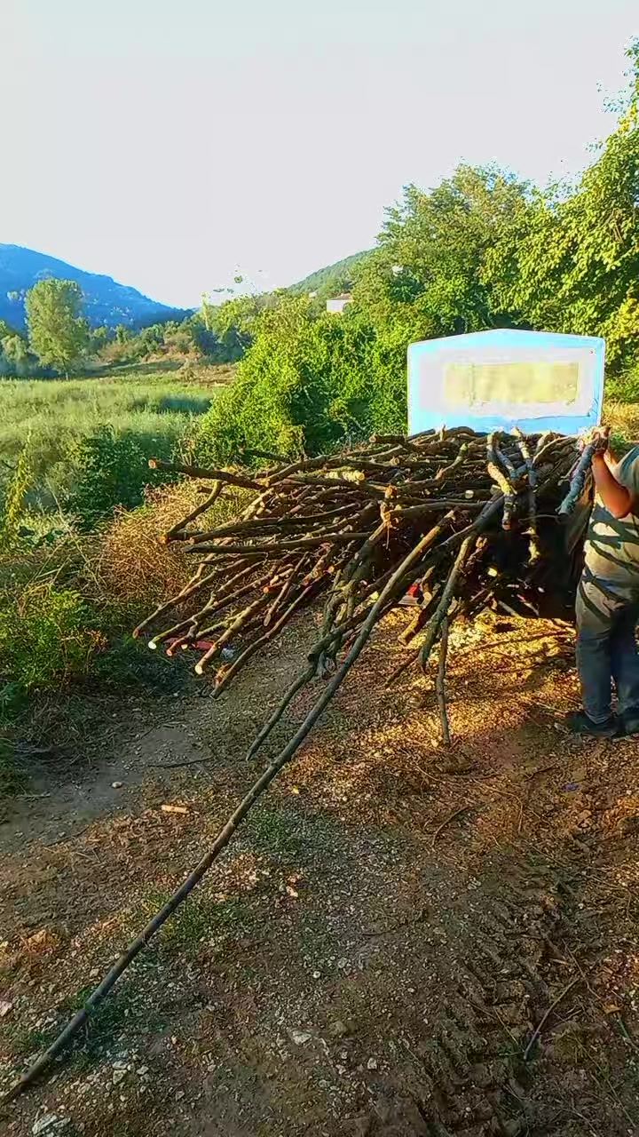 @Yığılca lı memedim.