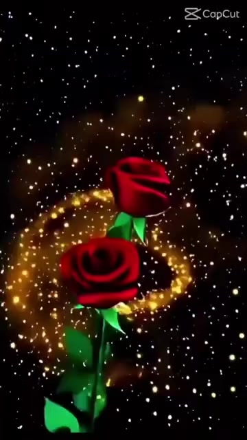 @G. D. July born  🇬🇾❤🇨🇦