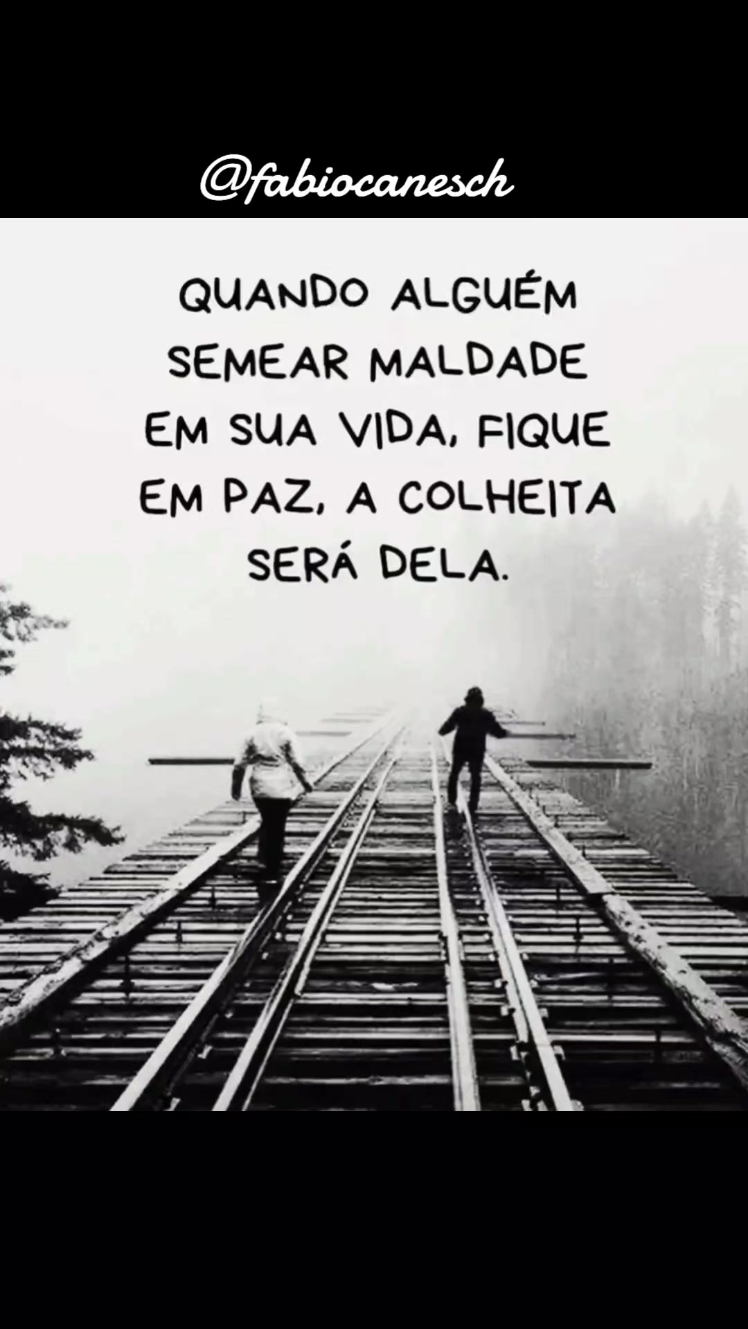 @F&aacute;bio caneschi de Oliveira