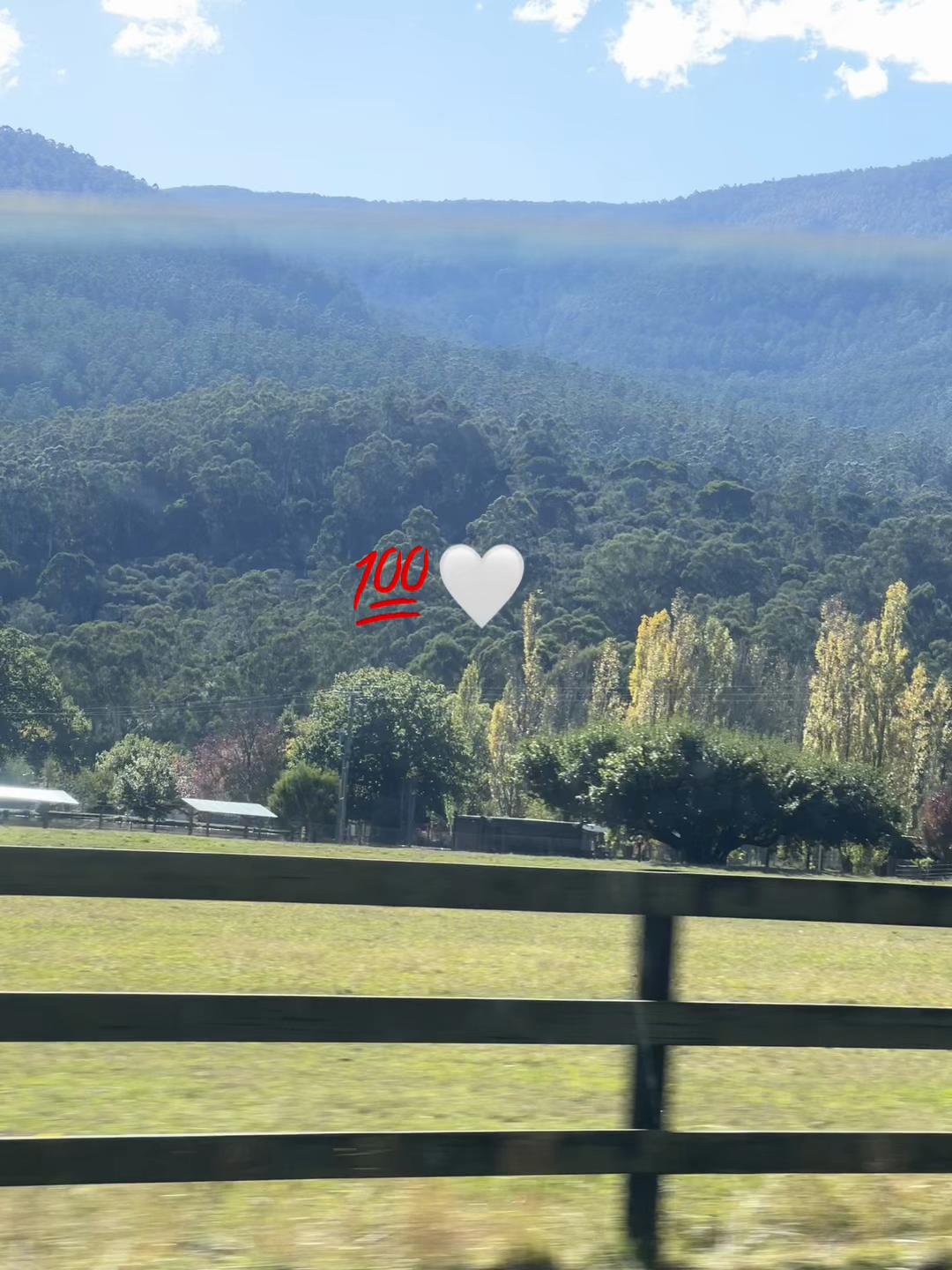@I’m Wild At Heart ♥️