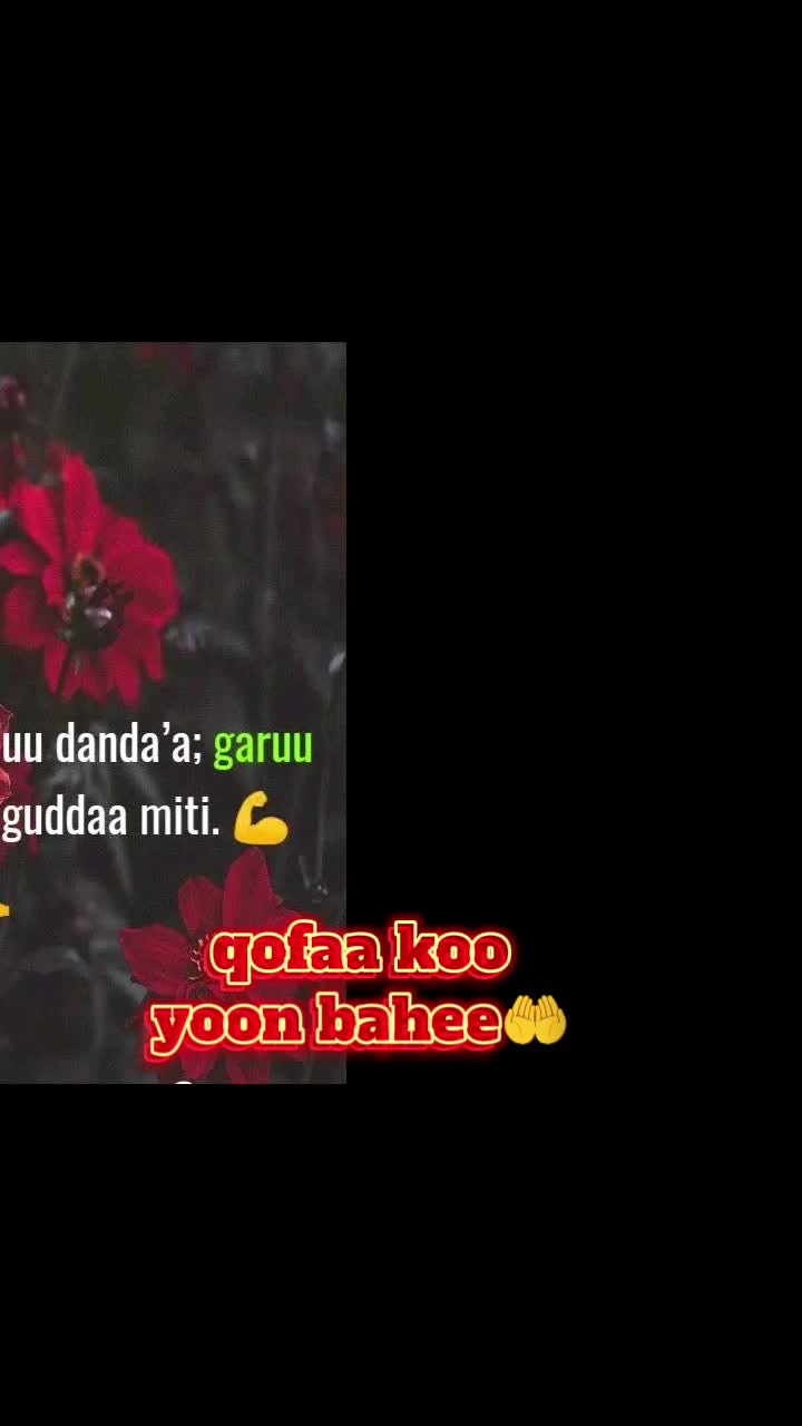@❤️🩹Shawuu💕pheenxitii✝️💙
