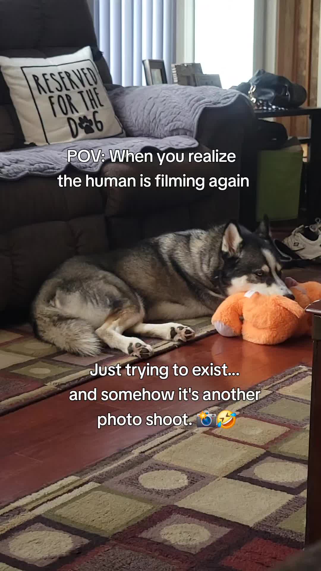 @the Hussey Husky