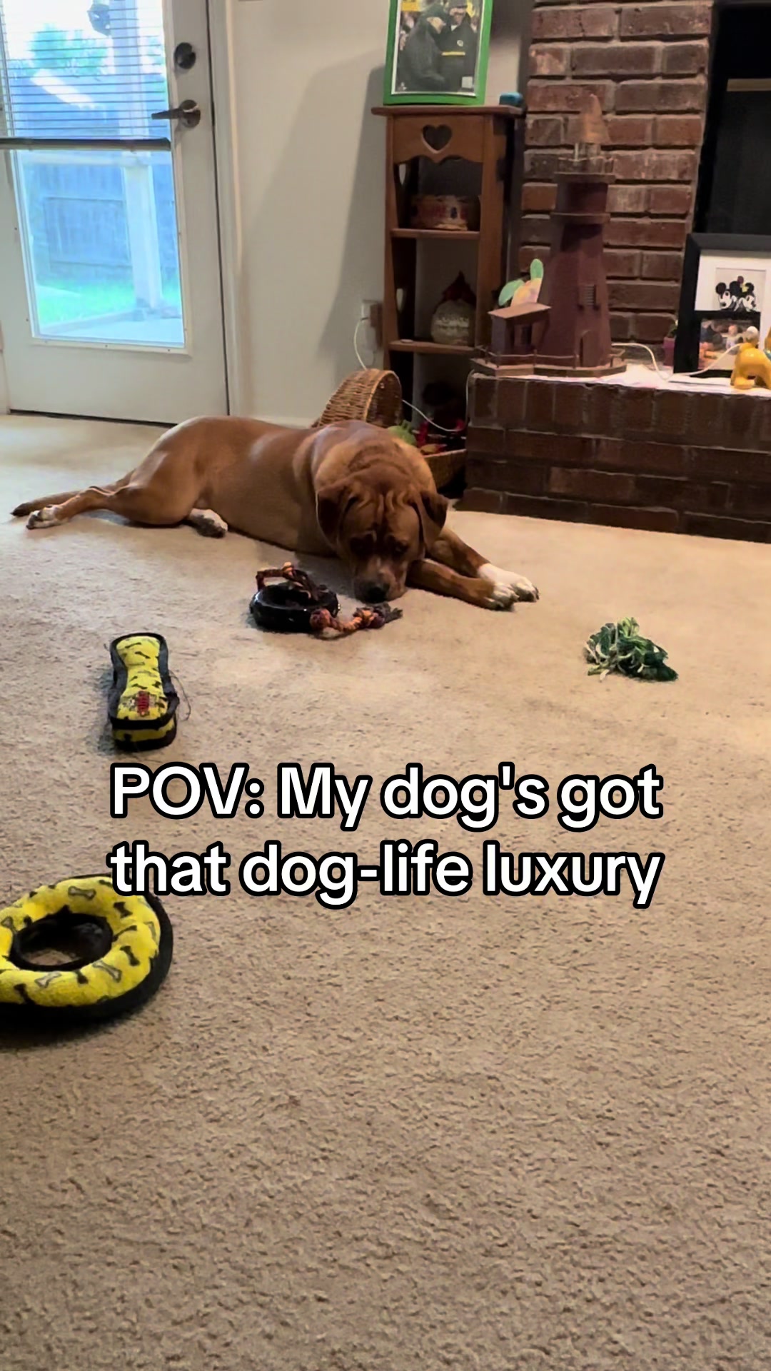 @Rob.Pugh