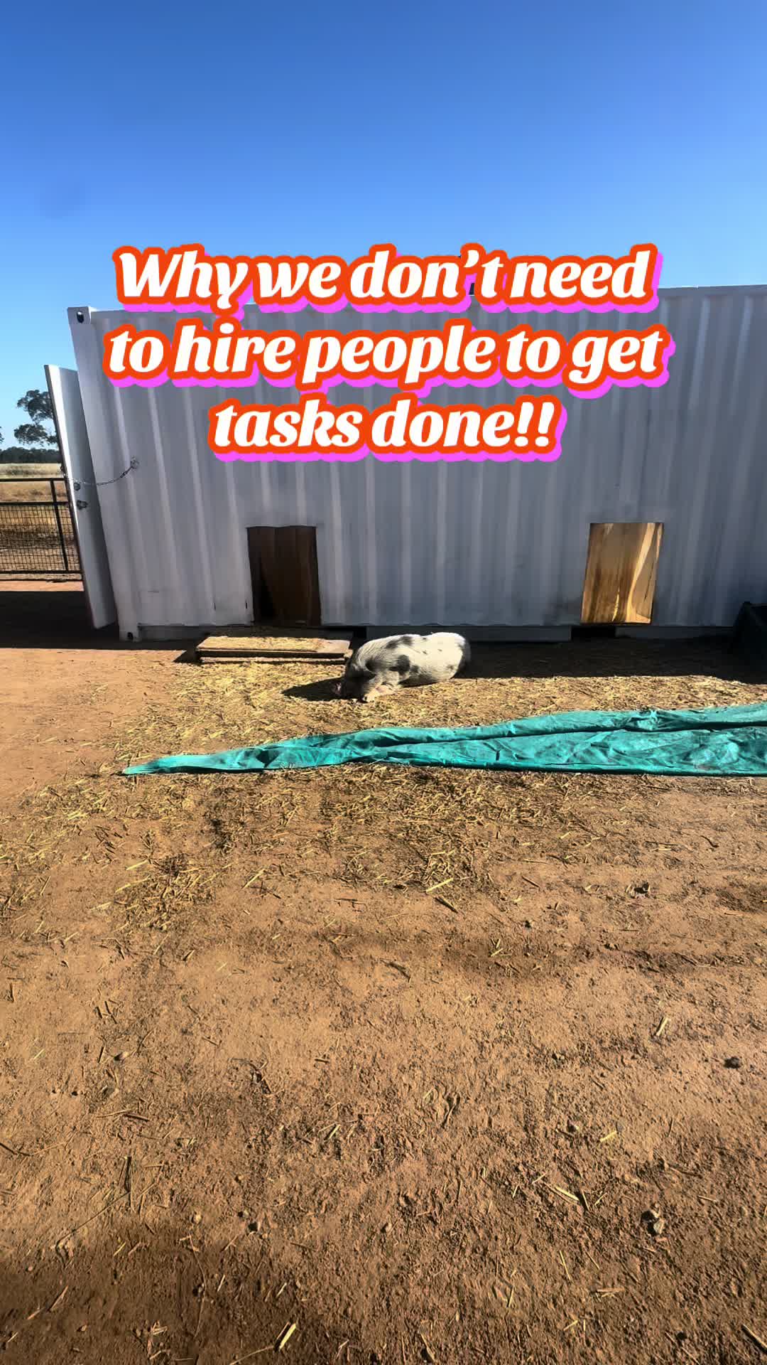 @Pig Luv Co