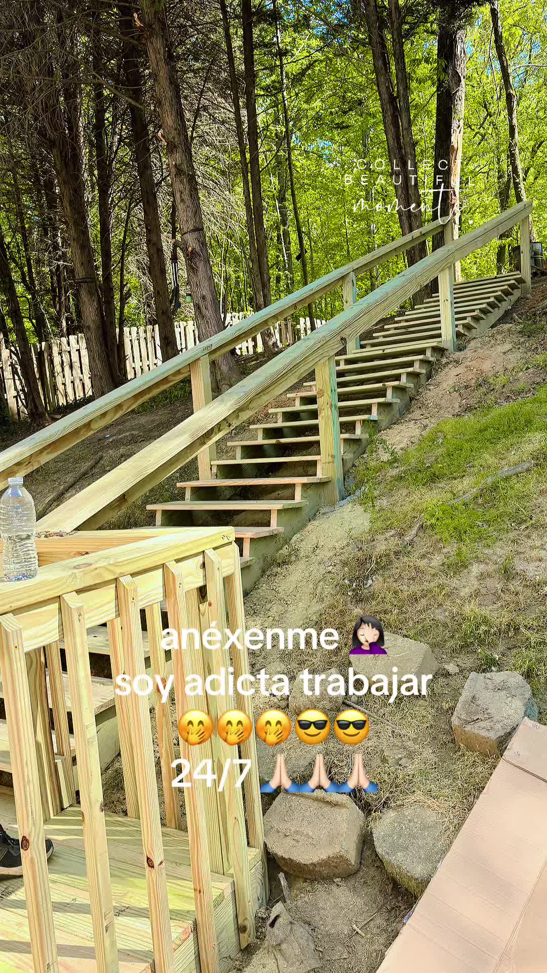 @dailymoreno