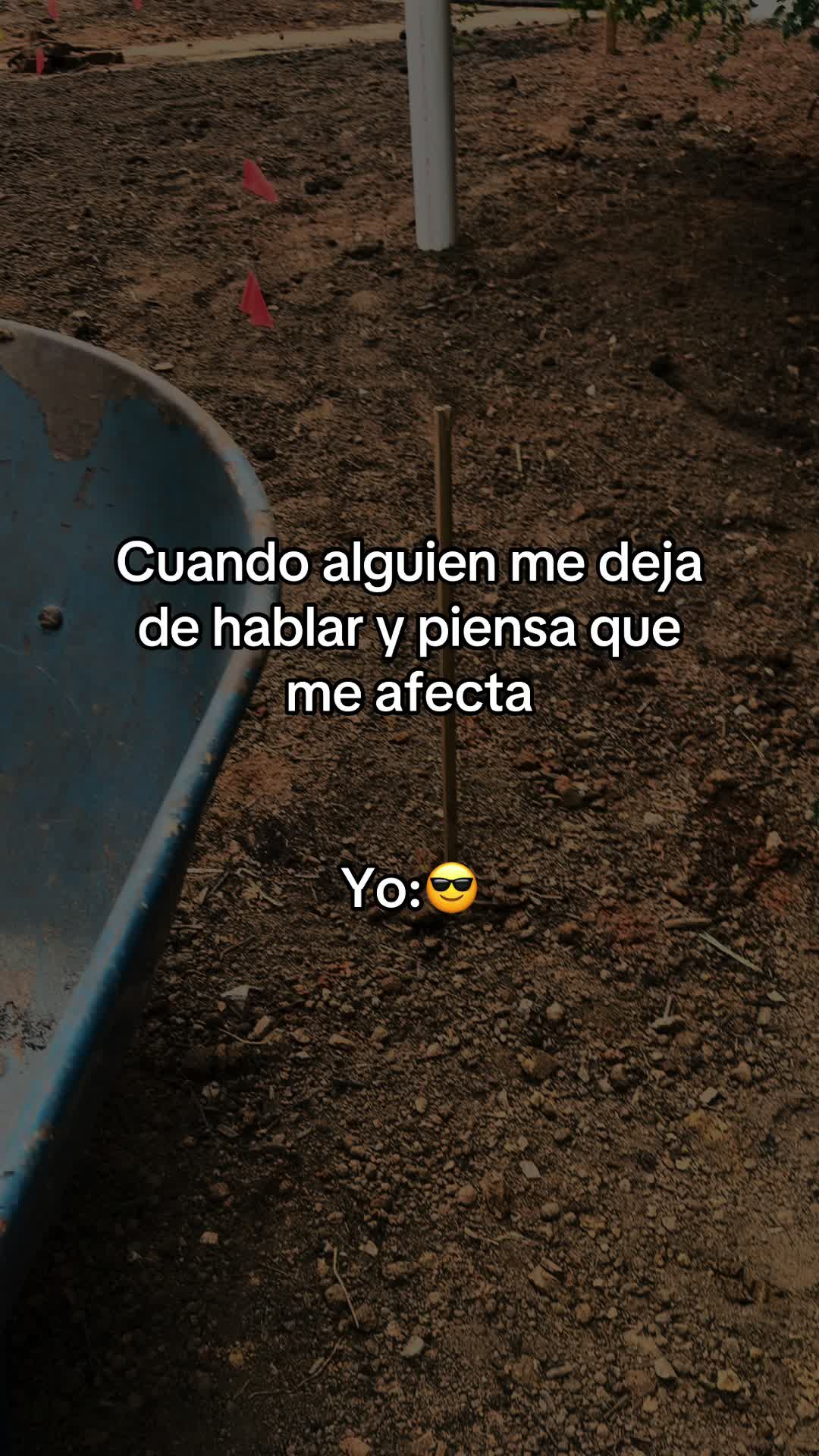 @🖤🍻Luffy Gt 502🍻🖤