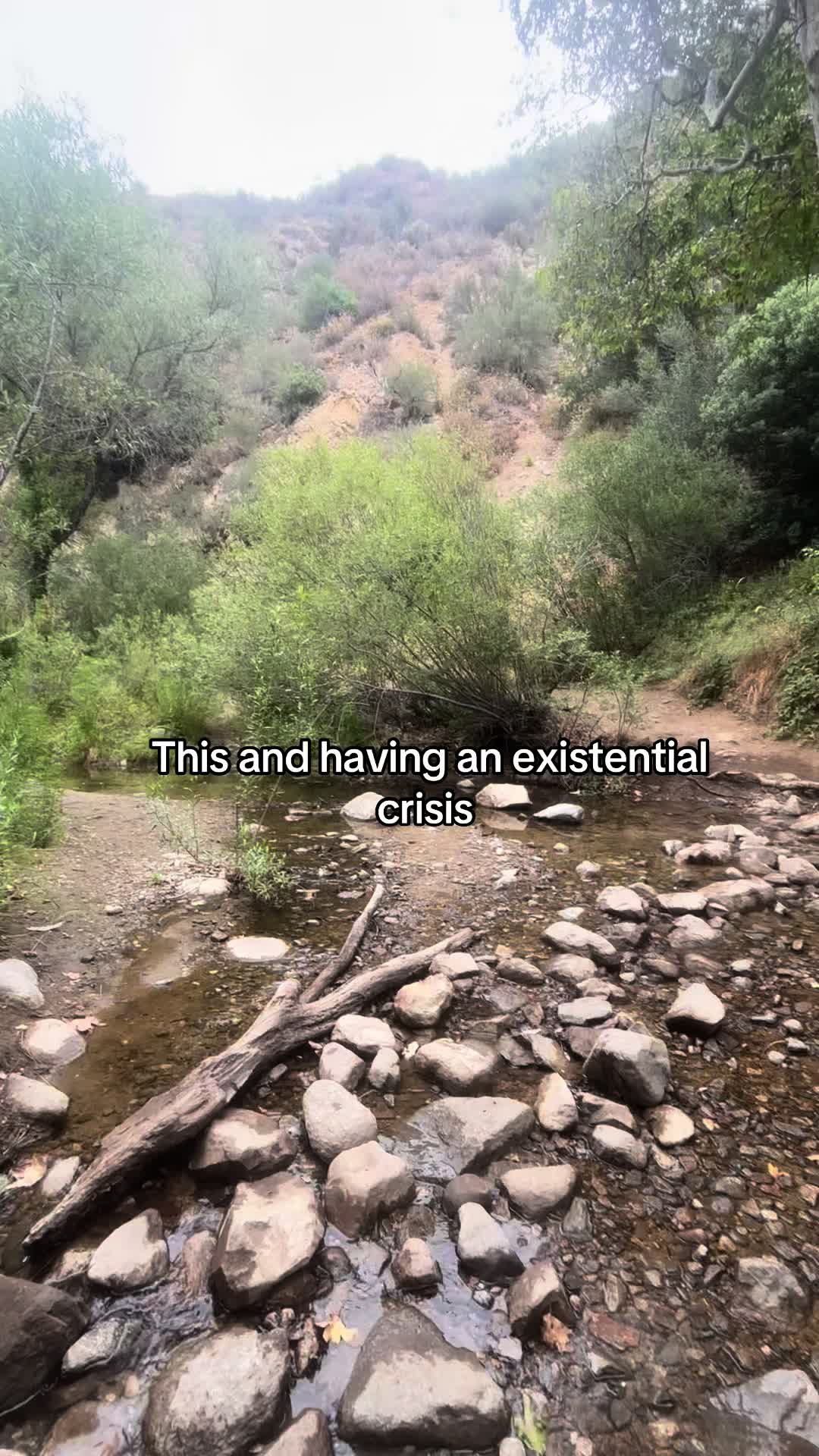 @The Whimsy Hiker 🧚&zwj;♀️