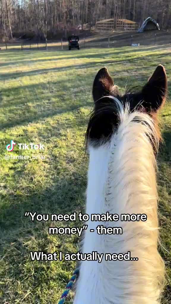 @Farmer briar