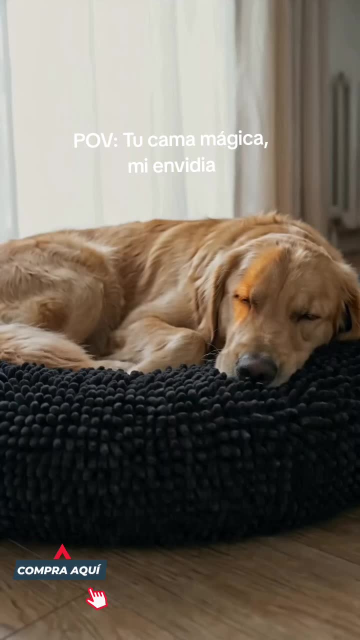 @Historias sobre Ruedas