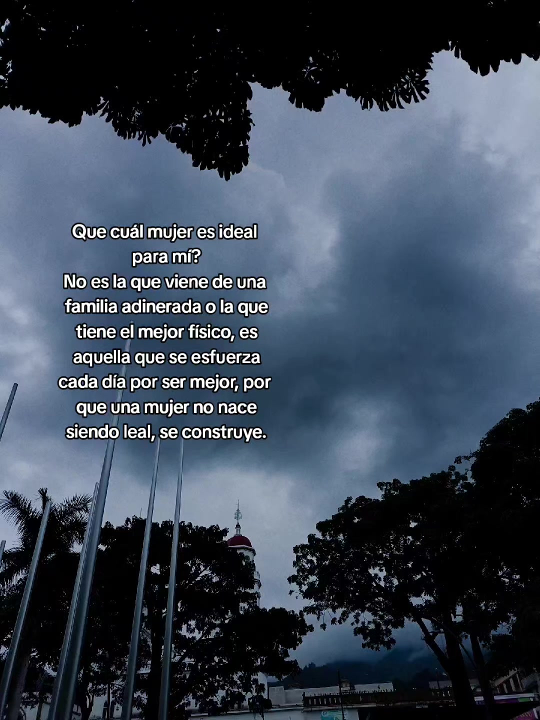@Mr_frases