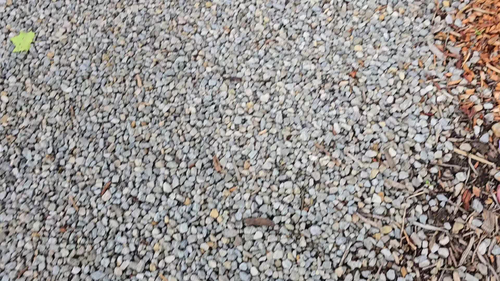 @glassmanff