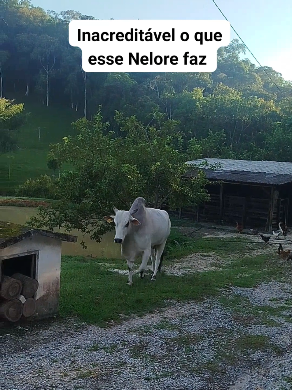 @Lar e Banho LTDA