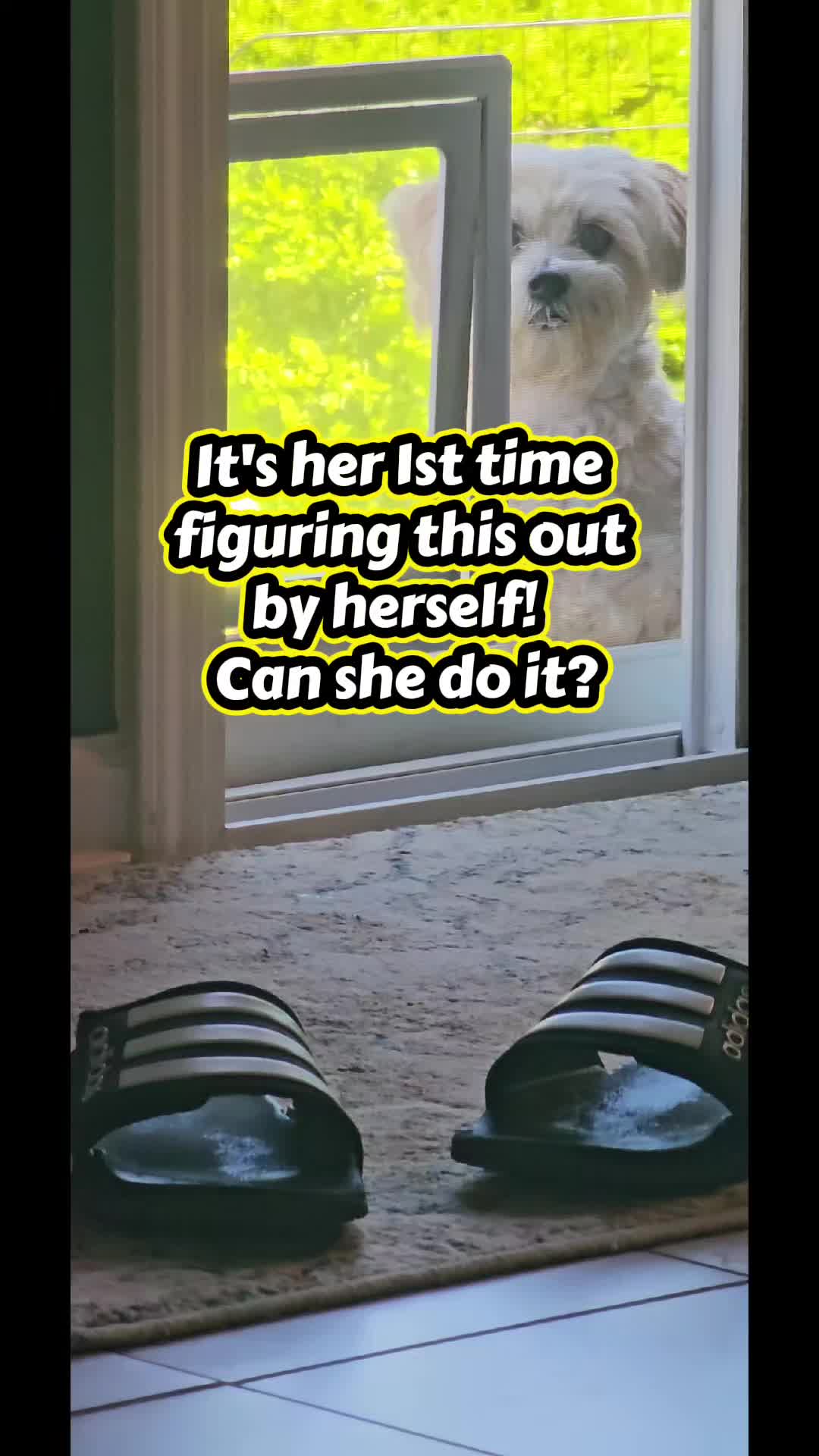 @TracieTeachesCrypto