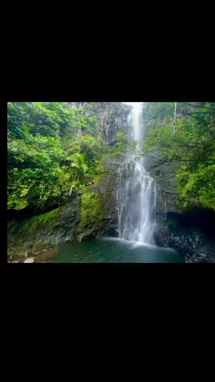 @Mafile&rsquo;o Tupou.