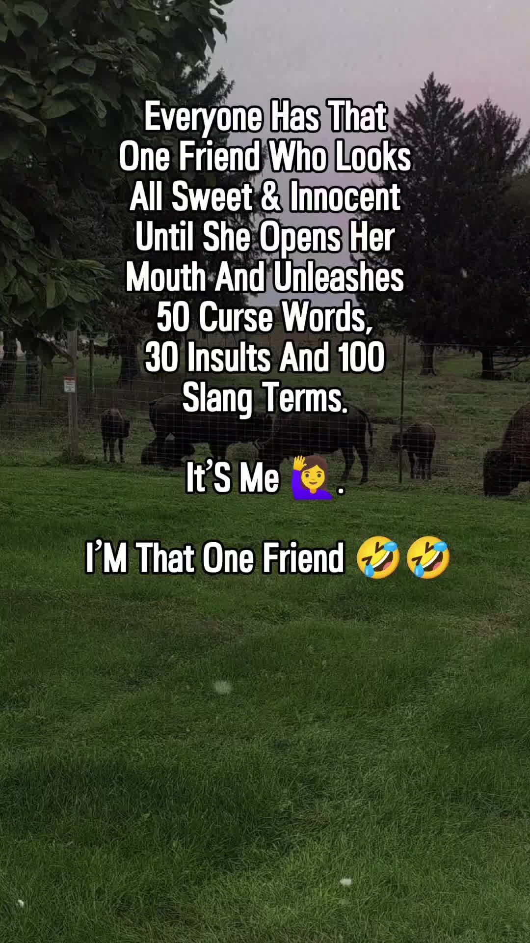 @TorqueAndTrouble🖕🏼😈