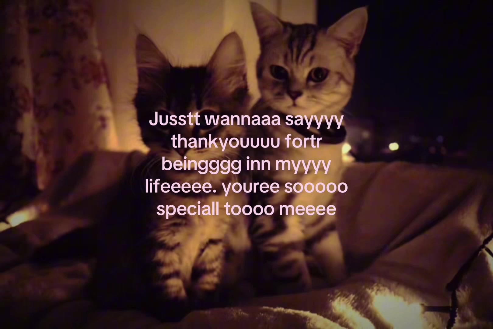 @sxalenz