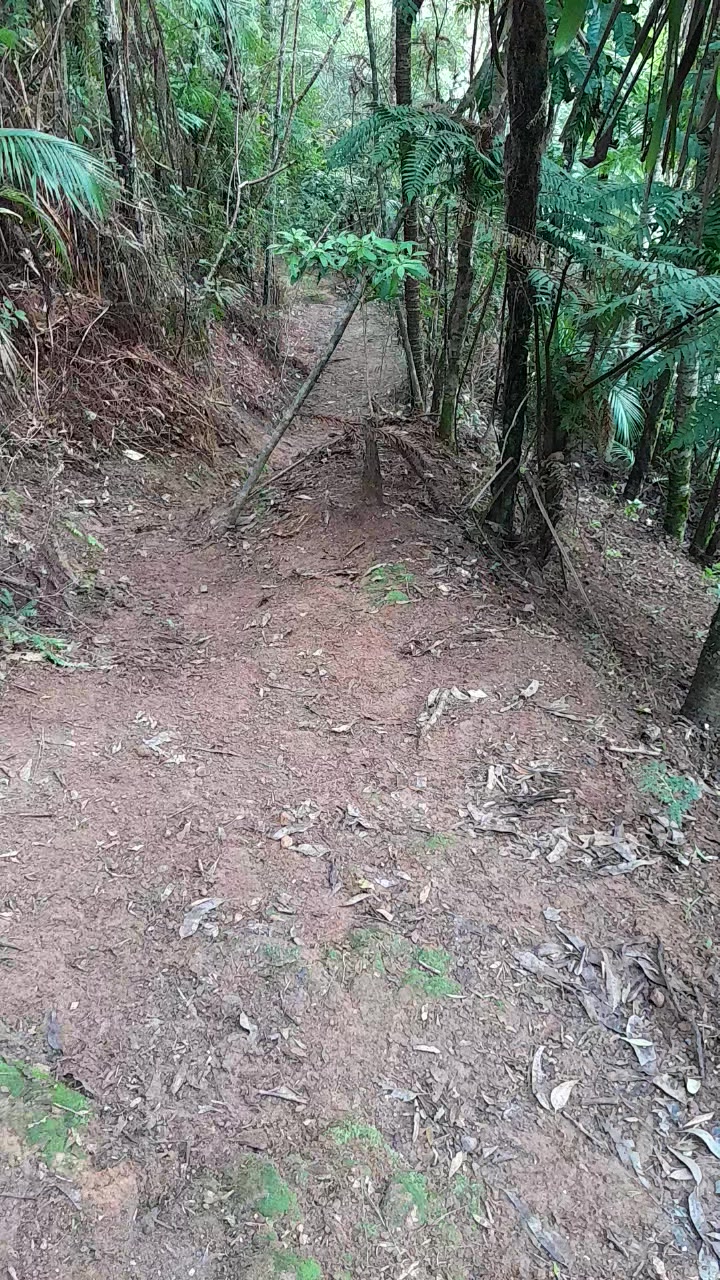 @Reginaldo dos santos pereira