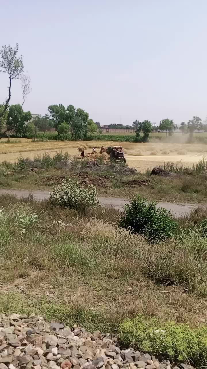 @Punjab