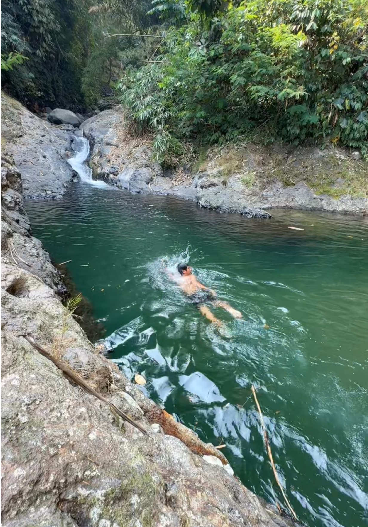 @Purbalingga