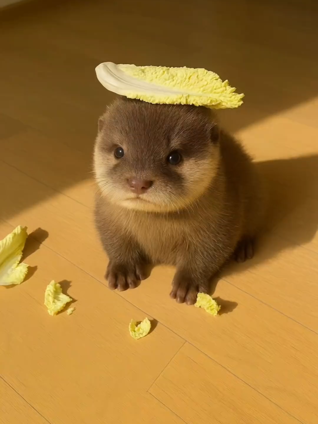@カワウソ日記
