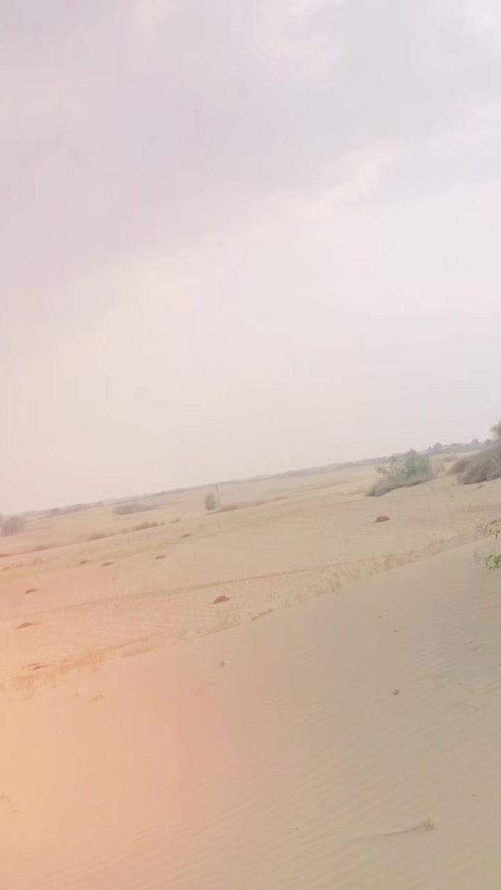 @میاں مظفر✨🥀