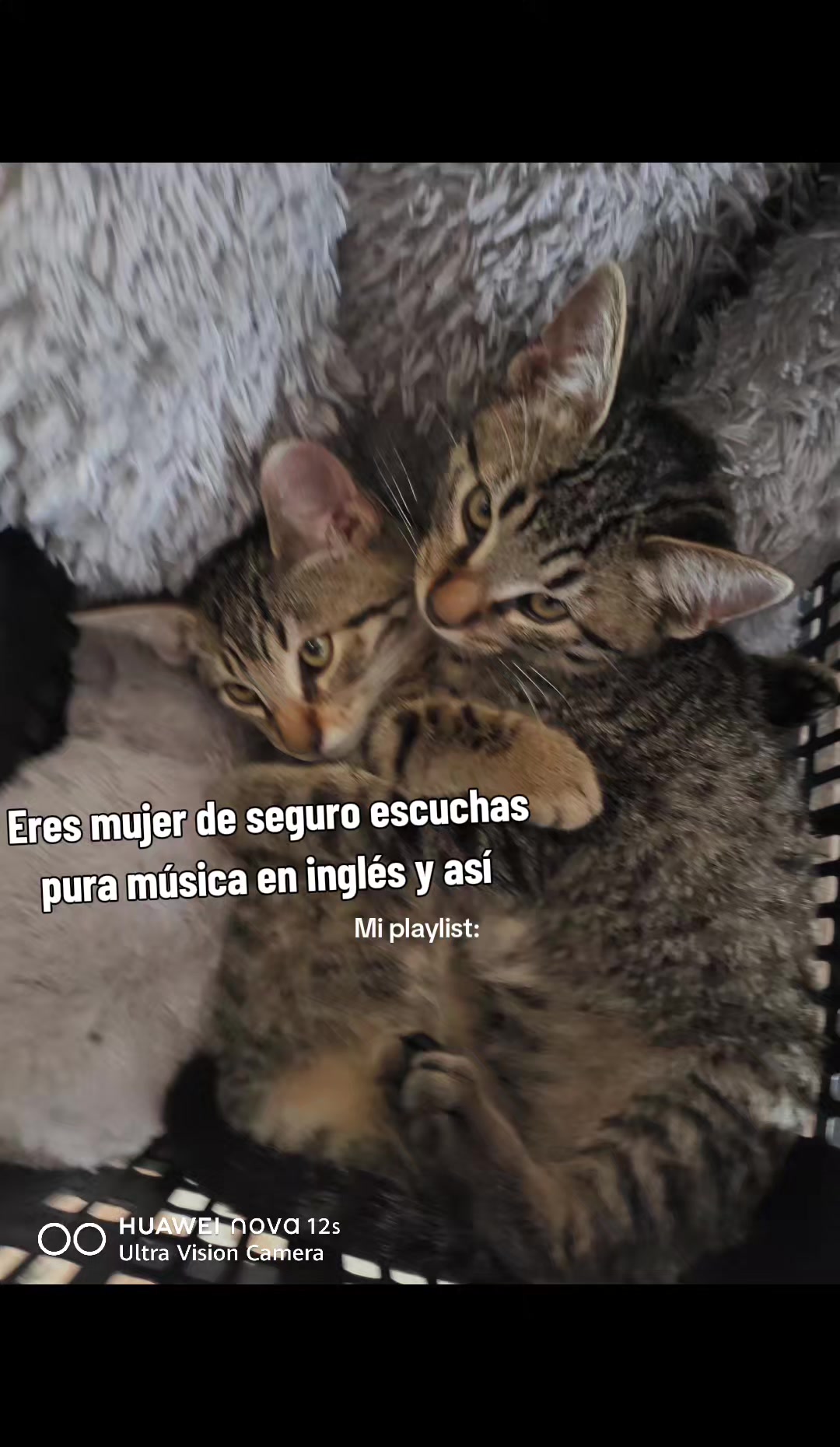 @💞 Fan de Omar Camacho
