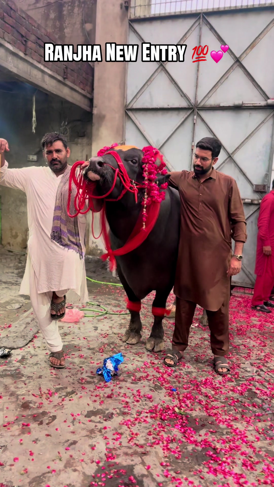 @UMAIR MUGHAL