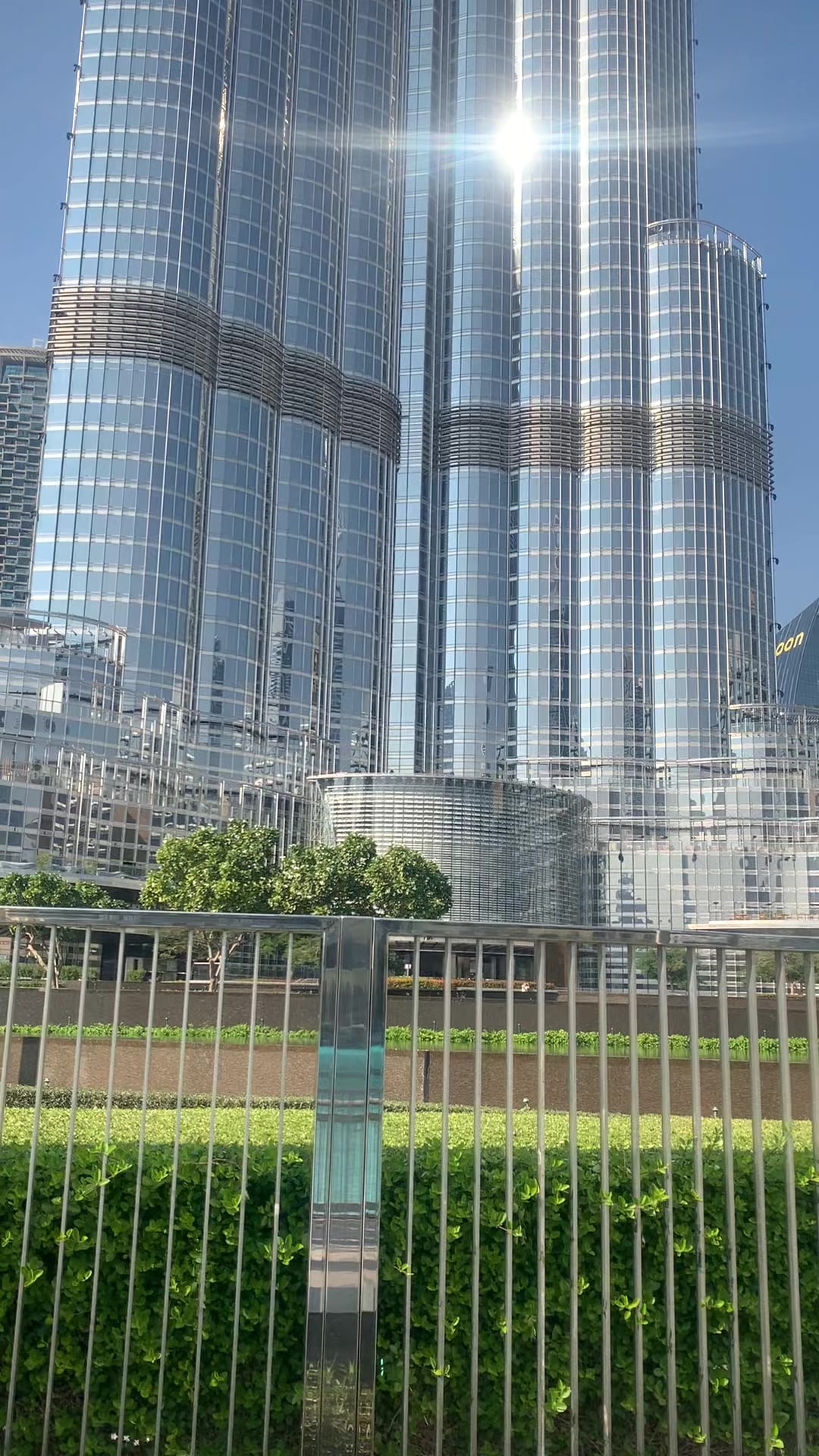 @Amir Ali Janjua 🇦🇪