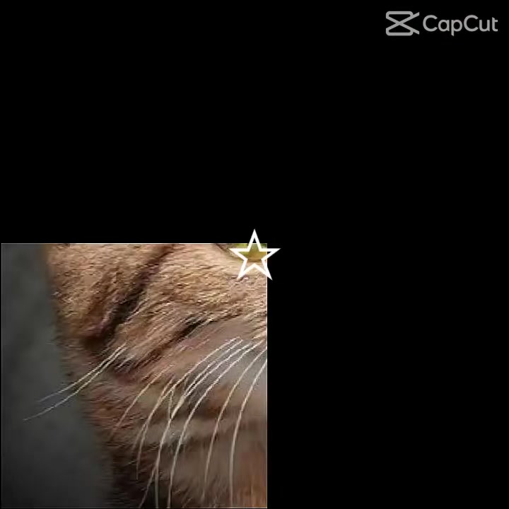 @๐๐๐พ๐ท๐ช๐ซ๐ต๐ธ๐๐