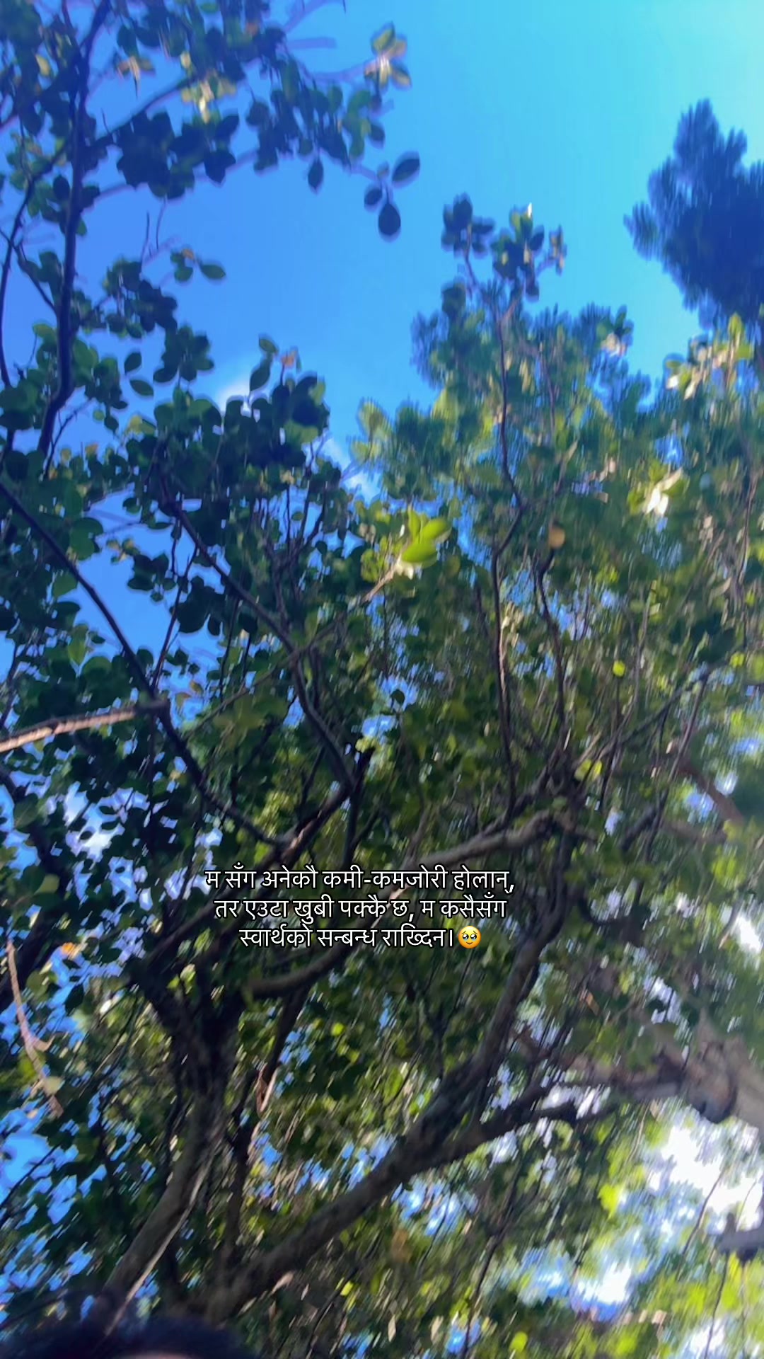 @1:9:12🦚💫💕