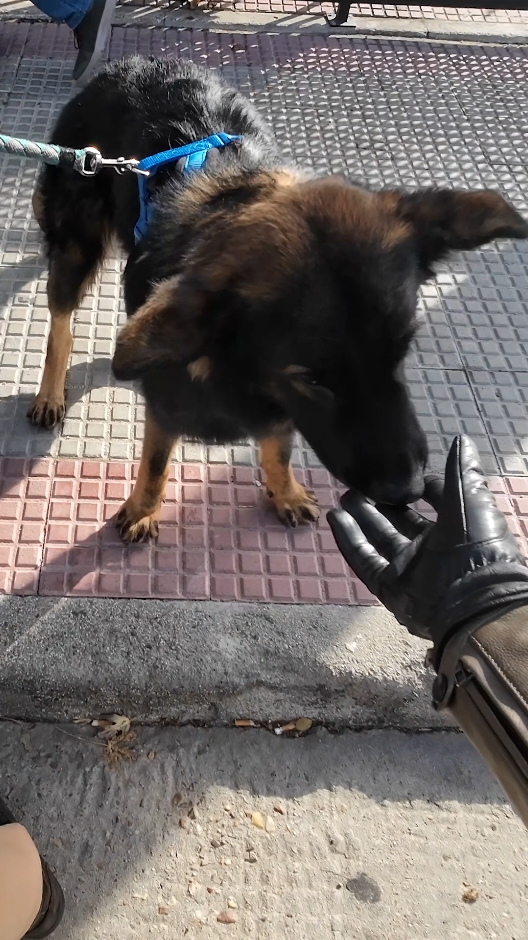 @Santos En Moto
