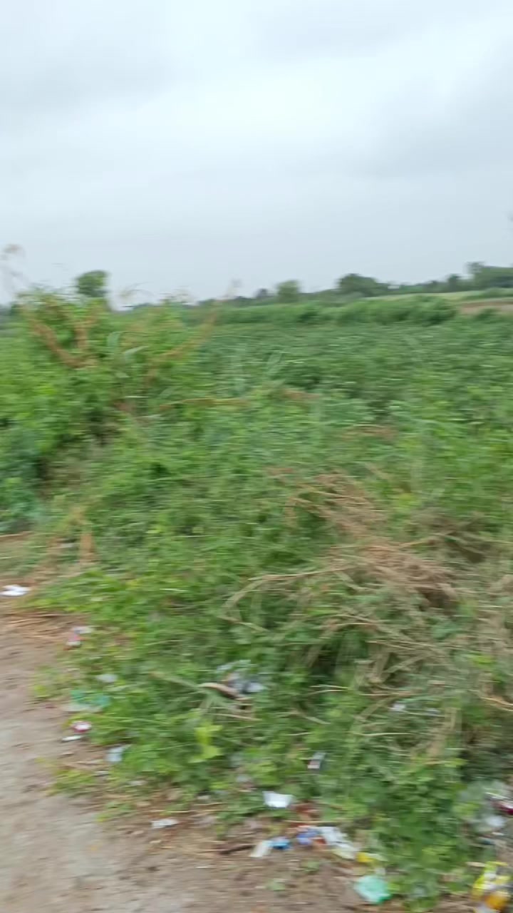 @Mukesh kumar kolhi