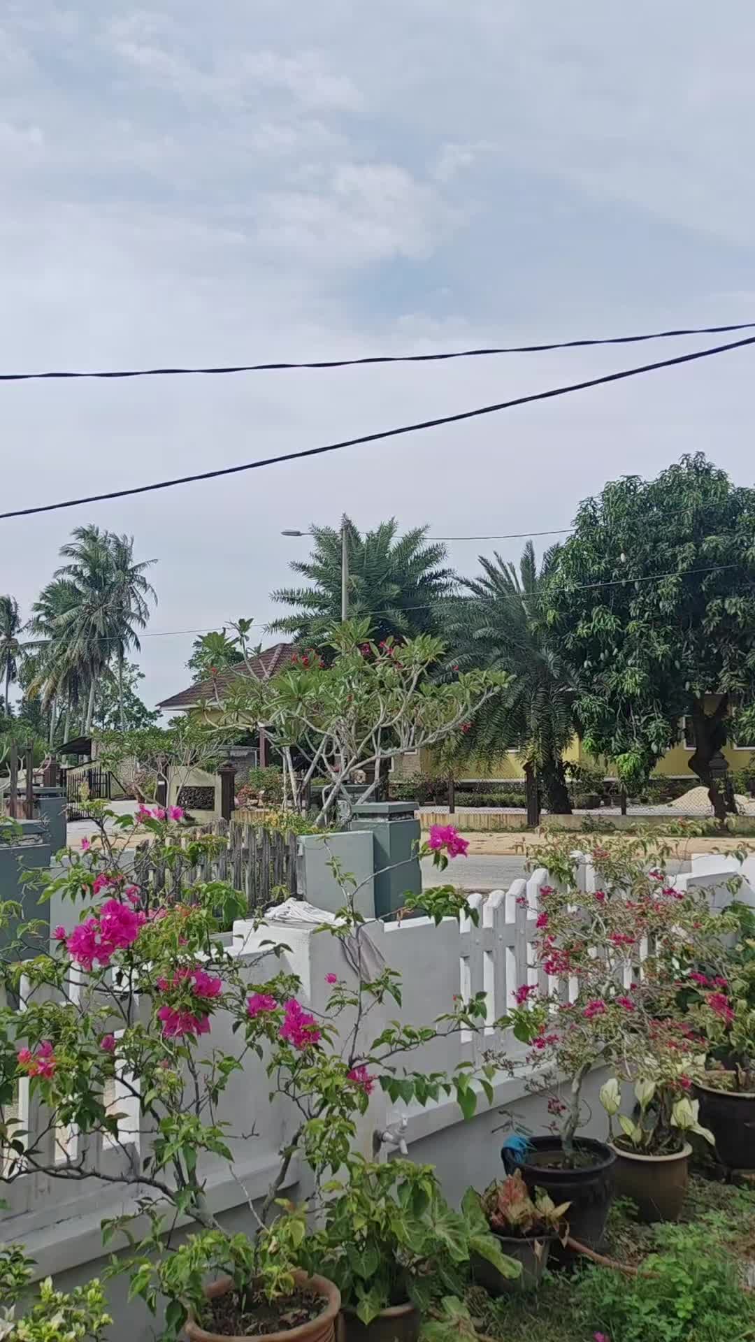 @Pok Uda