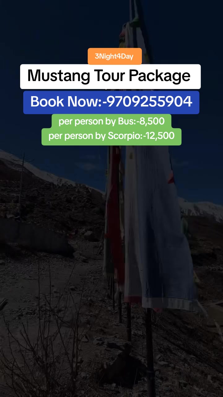 @Destination Holidays