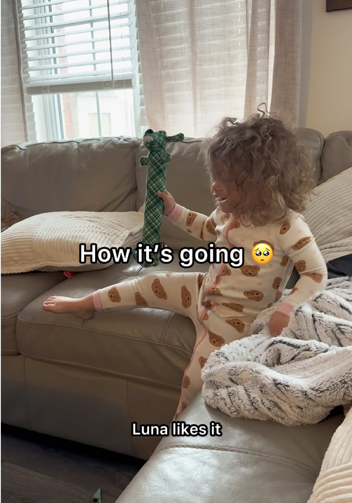 @LunaTheMiniCockapoo